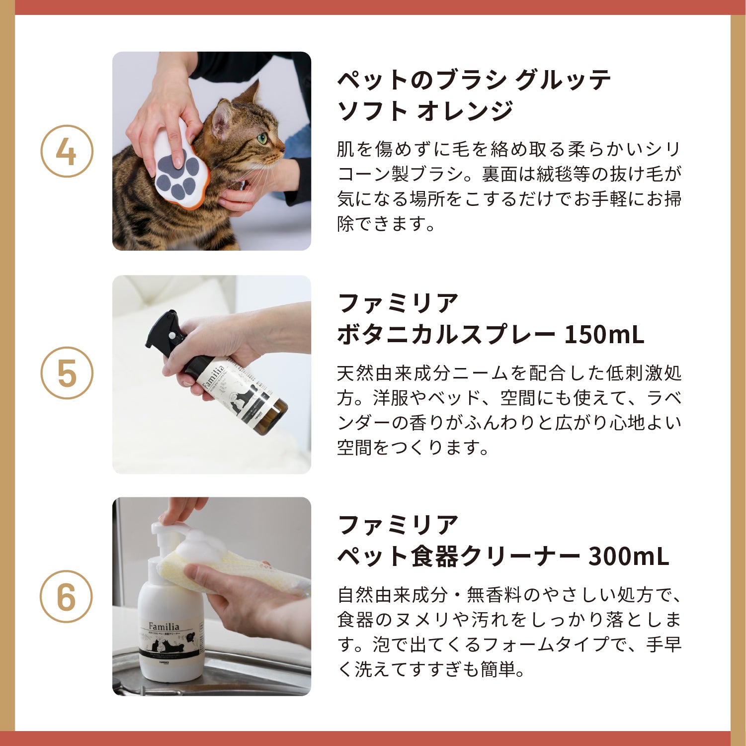 【12月中旬～発送】2026年福袋　猫セット