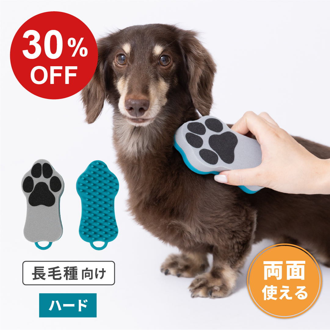 【SALE】ペットのブラシ　グルッテ　ハード　ブルー