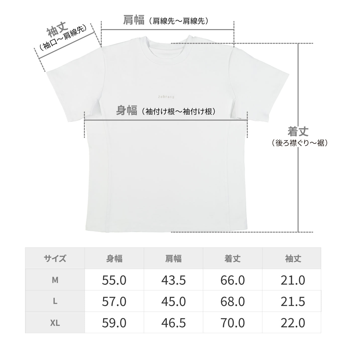 ゼブランTシャツ