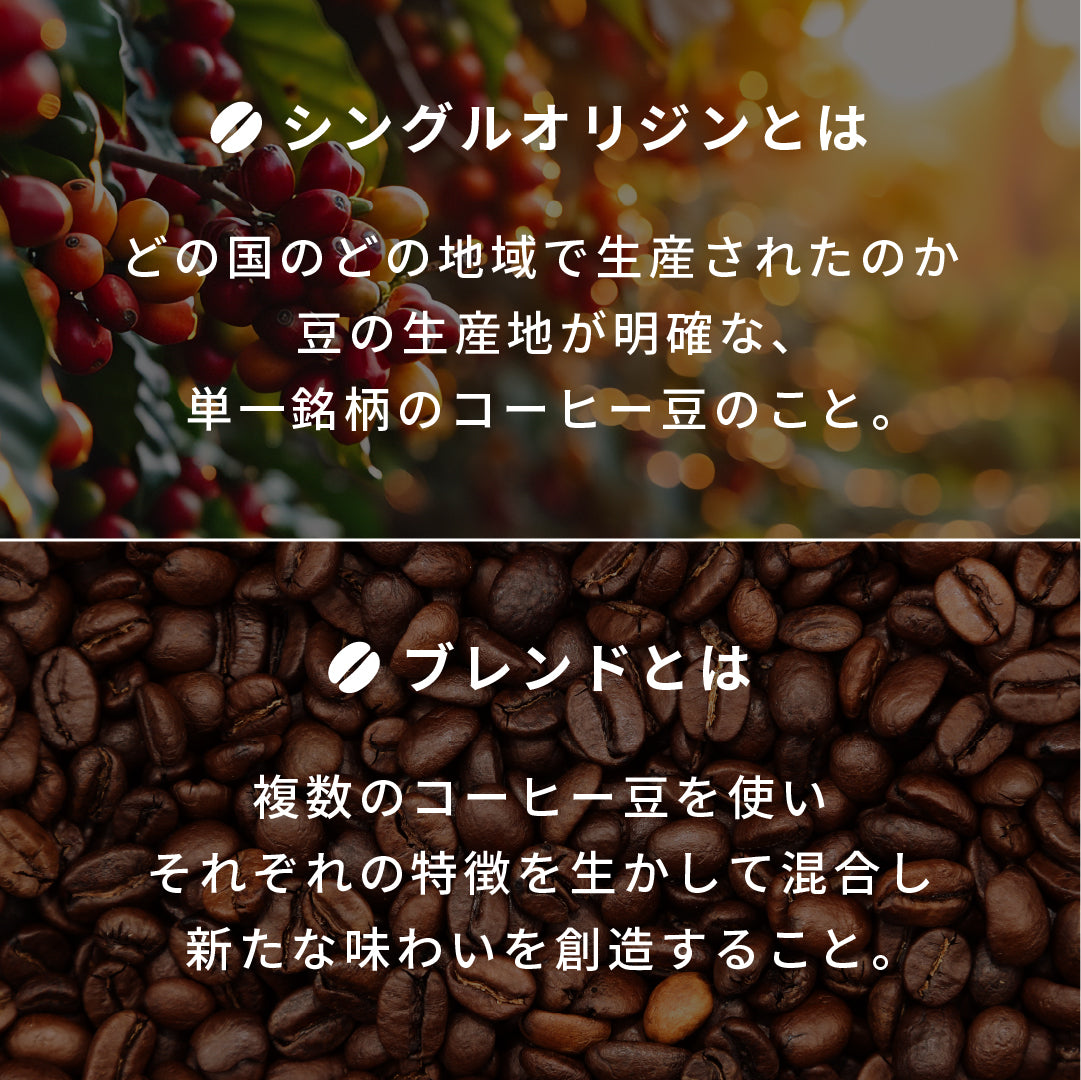 アウトドアコーヒー Zebrang 100g